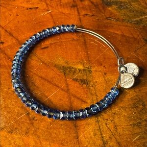 Alex and Ani Silver and Blue Bracelet (3)